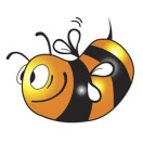 采能蜂蜜170328200508