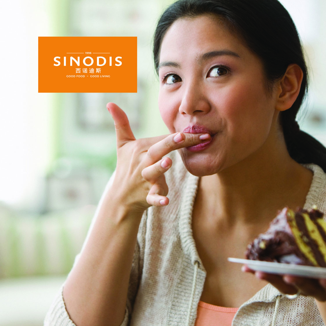 SINODIS西诺迪斯200428