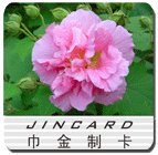 微信群友商城200428