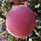 佳悦水果171001200508