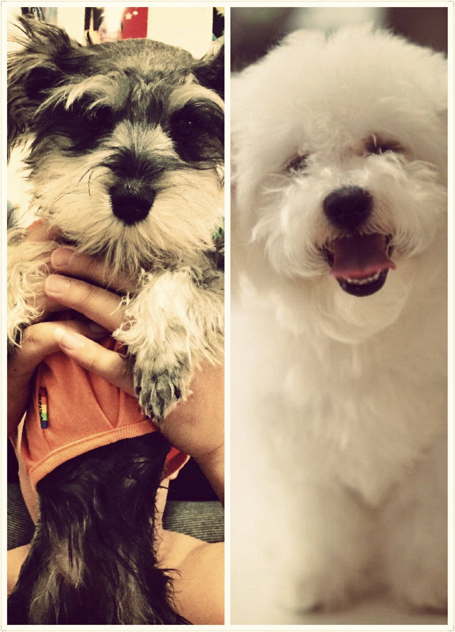 希希姑娘和圆圆家伙200508