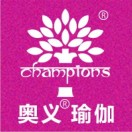 奥义旗舰店200428