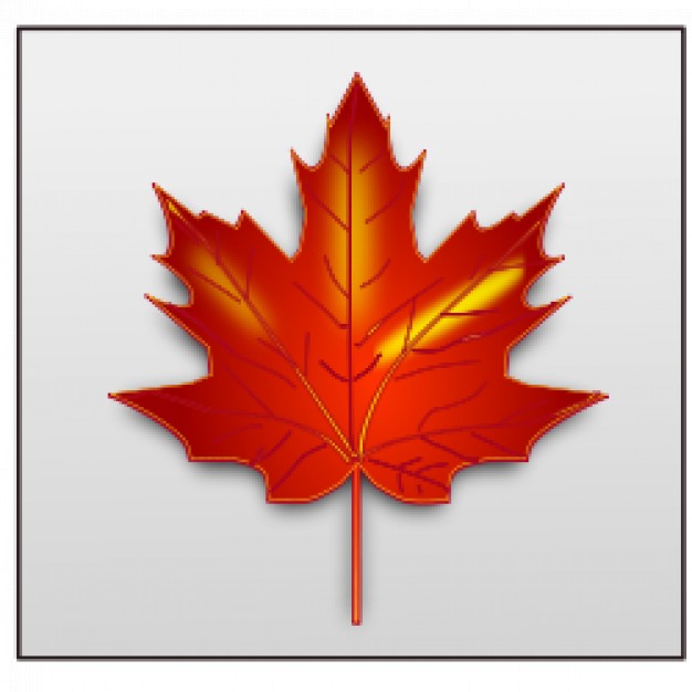 Tina加拿大代购200508