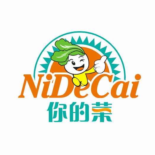 nidecai200509