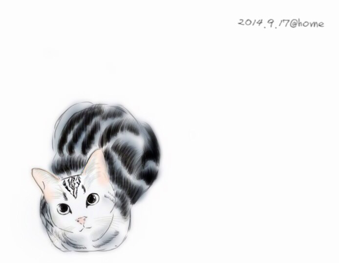 大脸猫水果篮180315