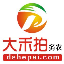 大禾拍贵州黔铃商城200508