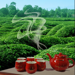 金果OTO·新土特200509