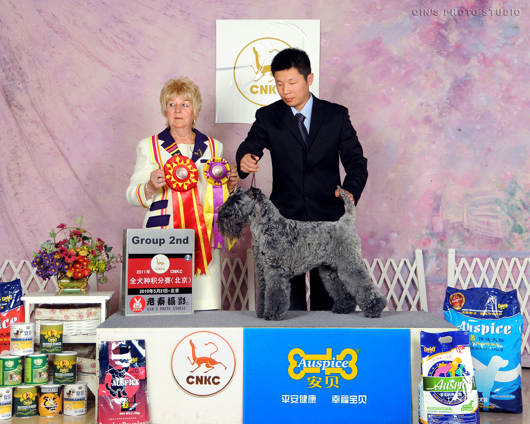 大有科维宠物商城180404