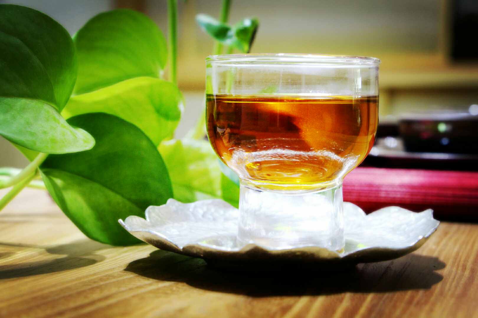 福建武夷龚氏茶业有限公司200508