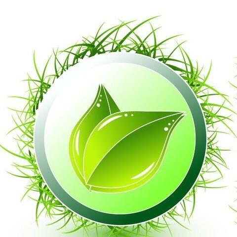 佳鼎绿色生活200509