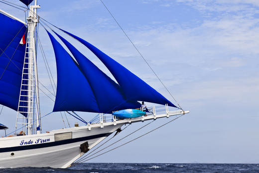 【船宿】印尼四王岛 Raja Ampat  船宿 - Indo Siren 11天10晚船宿 商品图1