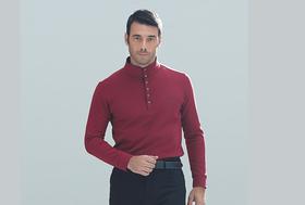 男款长袖polo衫13WPS303