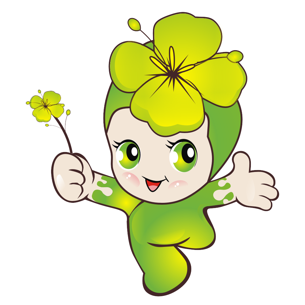 小油菜成品窗帘200509