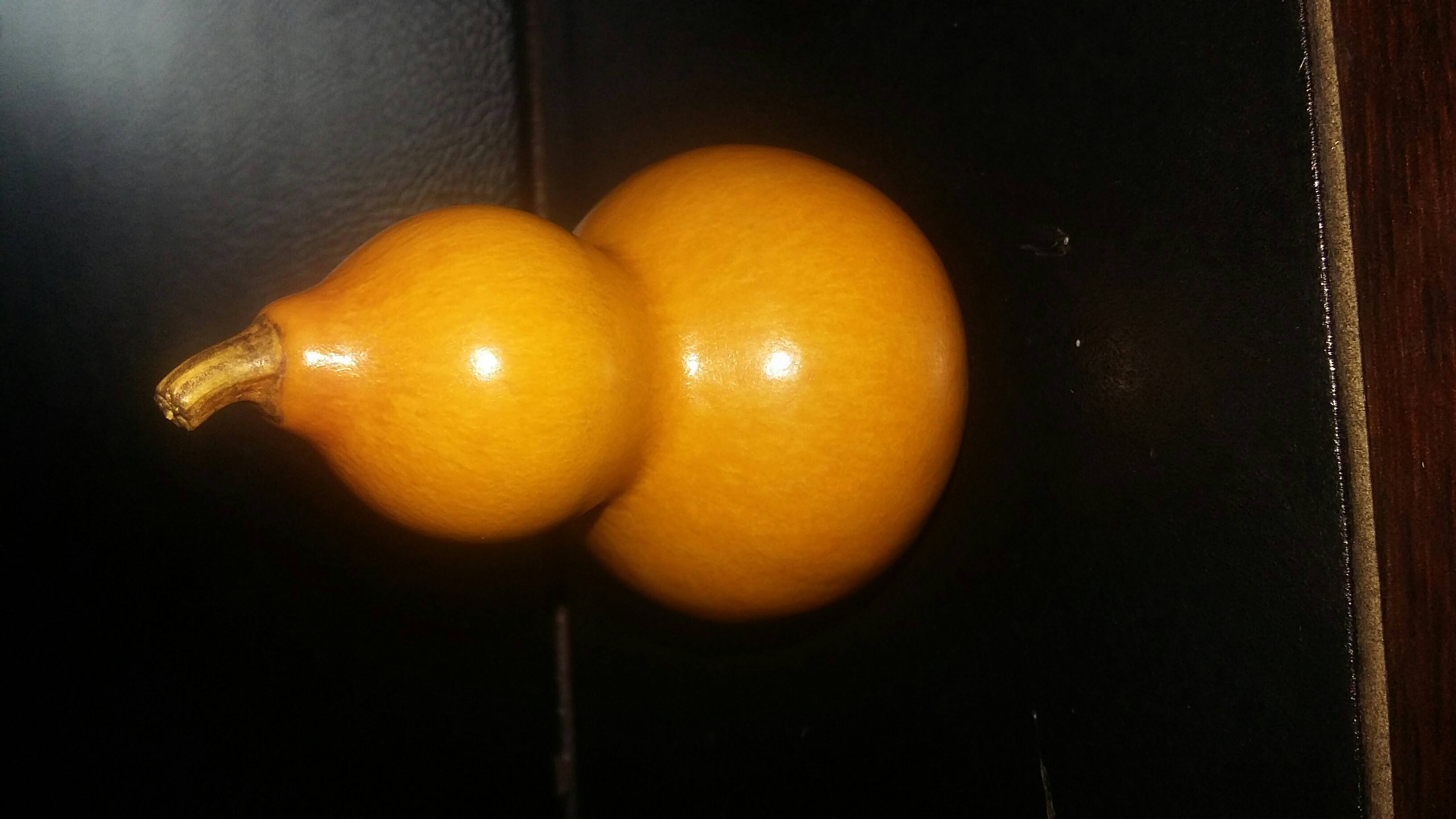 籼霖阁葫芦200508