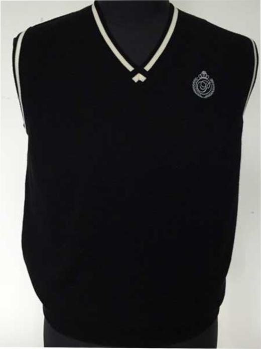 男款羊毛V领背心（12WPS501） 商品图0