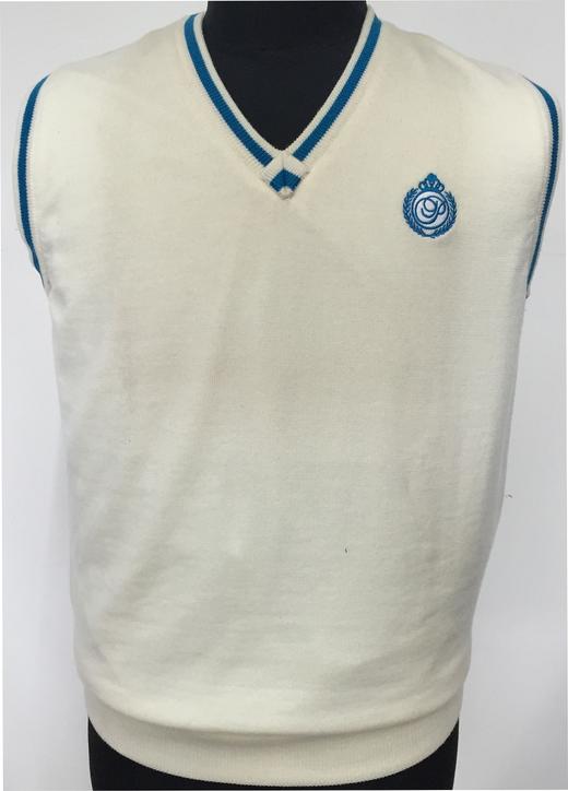 男款羊毛V领背心（12WPS501） 商品图1