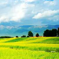 一米阳光农场200509