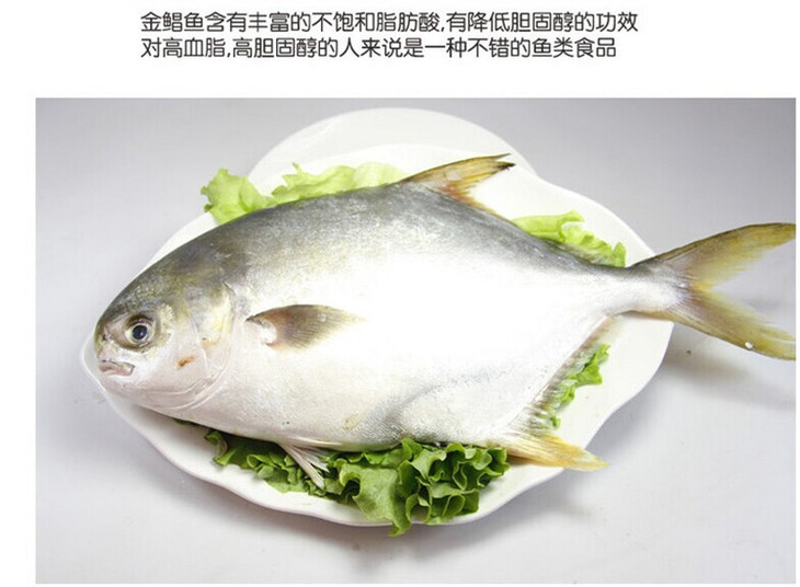金鲳鱼食谱y幼儿图片