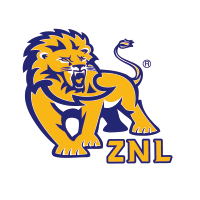 正能量汽车服务连锁161111