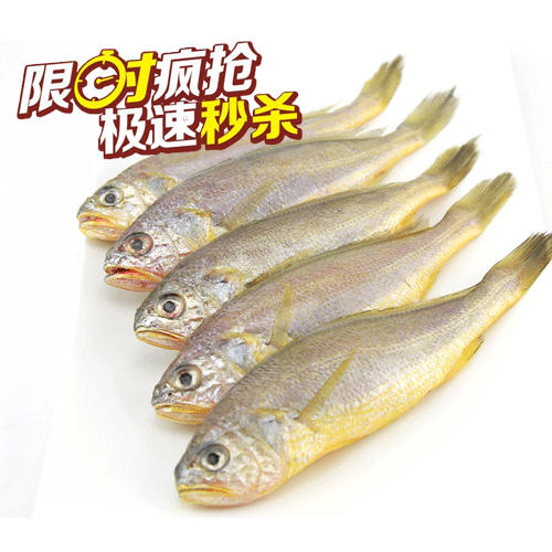（永久下架）舟山米道新鲜冰冻 野生小黄鱼礼盒包（4-5条） 商品图0