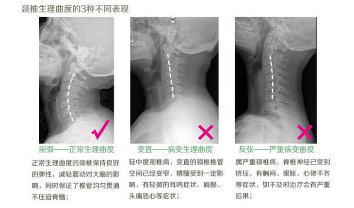 颈椎组合药枕 粗粉枕