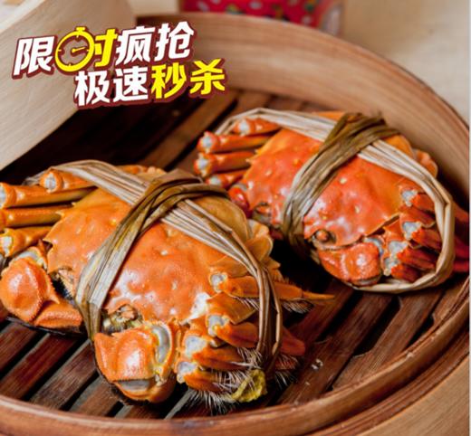 （永久下架）天伦大酒店太湖蟹礼盒 商品图0