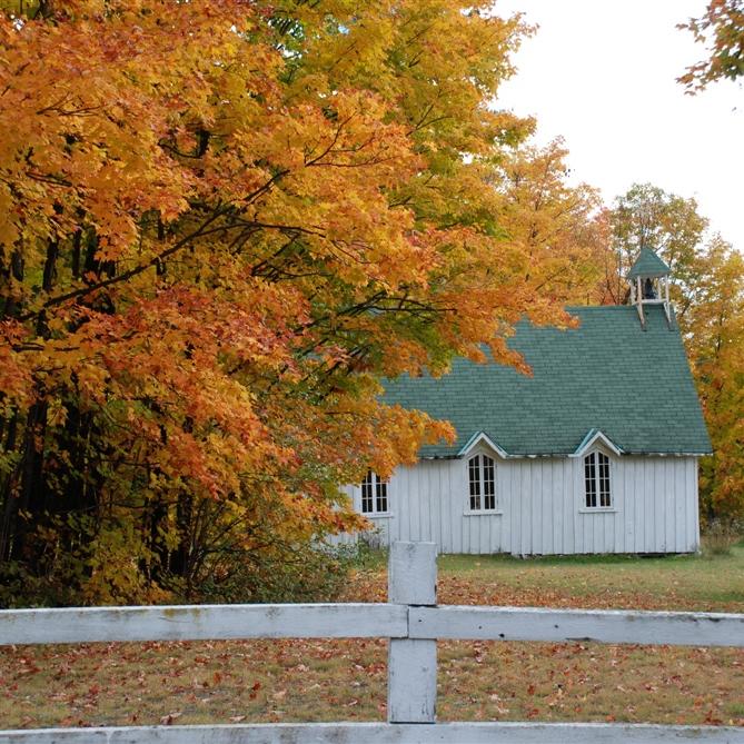 加邦健品店200429