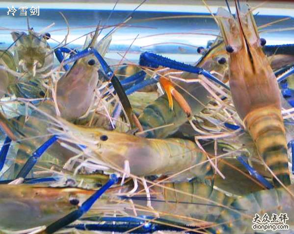 除富有一般淡水虾类的风味之外,成熟的罗氏沼虾头胸甲内充满了生殖腺