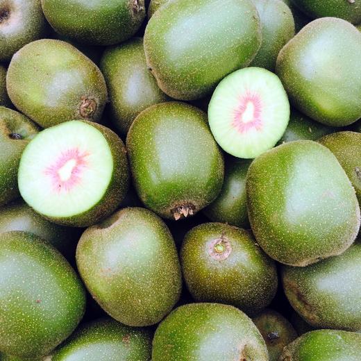 （永久下架）南野农庄红心猕猴桃（18只） 商品图0