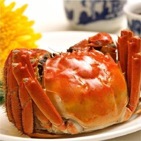 （永久下架）正宗 阳澄湖大闸蟹礼卡