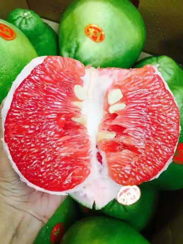 泰国ick红宝石柚子(接受预定一颗的价格)