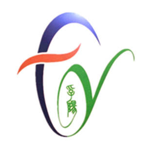 台州孚阳商贸有限公司200508