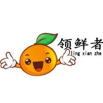 领鲜者100200429
