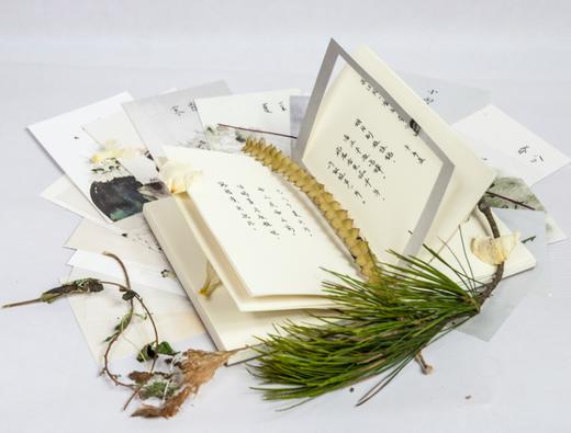 二十四节气（自然笔记） 商品图2