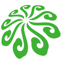 朵云清有机嘉菊200509