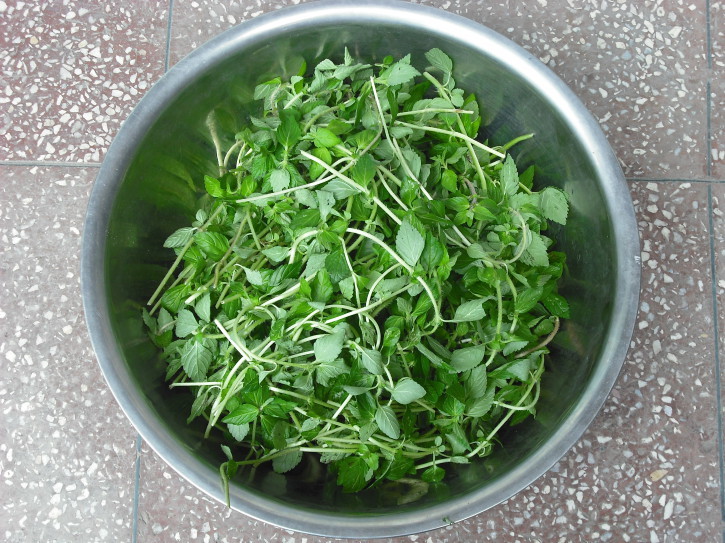 水香菜