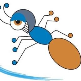 史克朗鲜花绿植200508