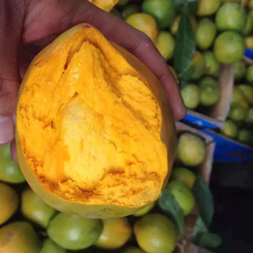 「水果优选」泰国鸡蛋果 商品图0