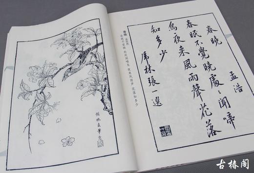 《唐诗宋词笺谱》一函三册 商品图7