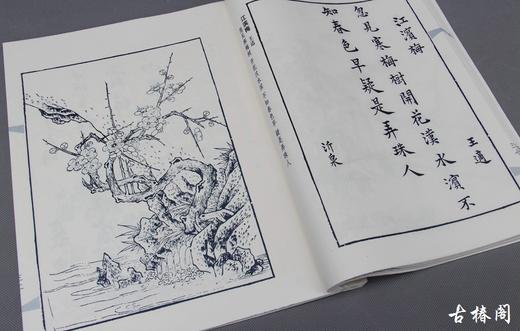 《唐诗宋词笺谱》一函三册 商品图3