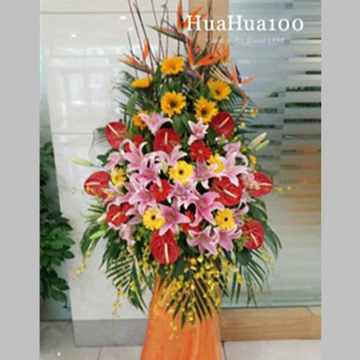 开业花篮丨粉百合红掌非洲菊鹤望兰091 商品图0