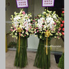 开业花篮丨蝴蝶兰洋桔梗水竹叶（单个）093 商品缩略图0