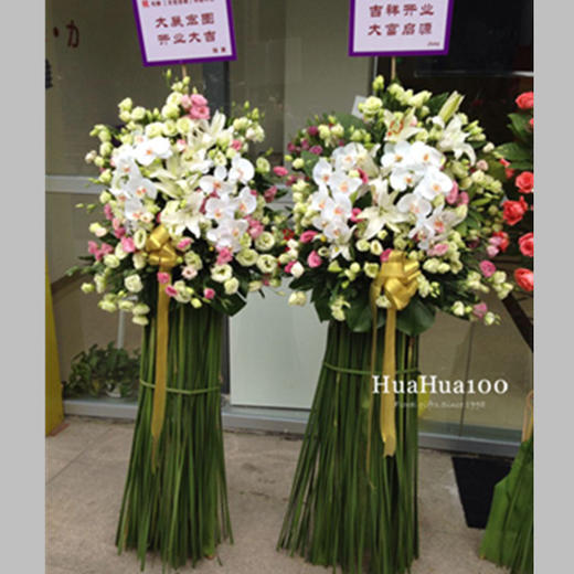 开业花篮丨蝴蝶兰洋桔梗水竹叶（单个）093 商品图0