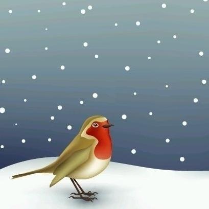 Robin知更鸟200428