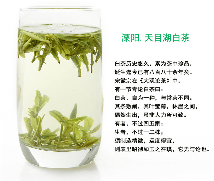 天目湖白茶