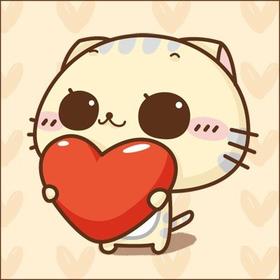 起码运动馆-山猫测试001