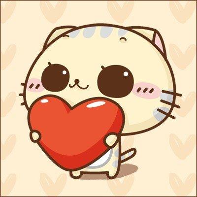 起码运动馆-山猫测试001 商品图0