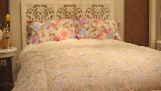 （永久下架）杉杉羽柔被5斤重 两条装 商品图1