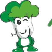 佰菜星君家庭配送商城180404