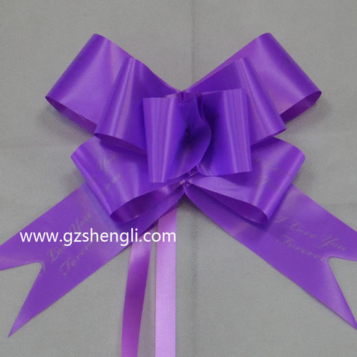 小英文蝴蝶拉花（10条/包，5*85CM,不包邮） 商品图4